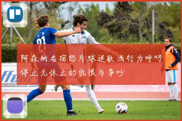 阿森纳名宿怒斥球迷肤浅行为呼吁停止无休止的仇恨与争吵
