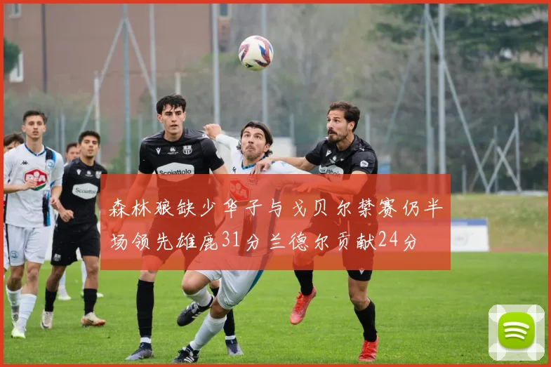 森林狼缺少华子与戈贝尔禁赛仍半场领先雄鹿31分兰德尔贡献24分